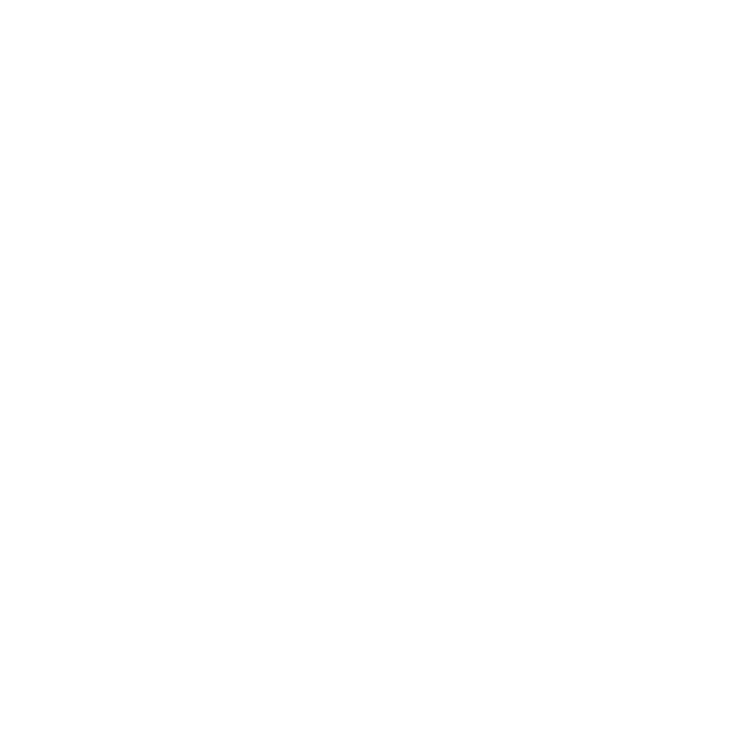 ELITE CLEANING UNIQUE SERVICES 